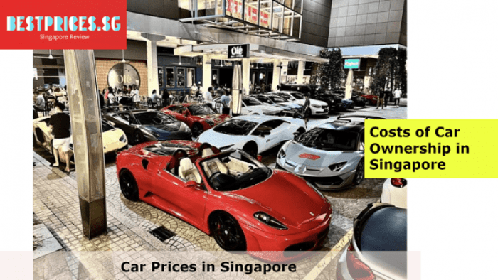 Sg new car price